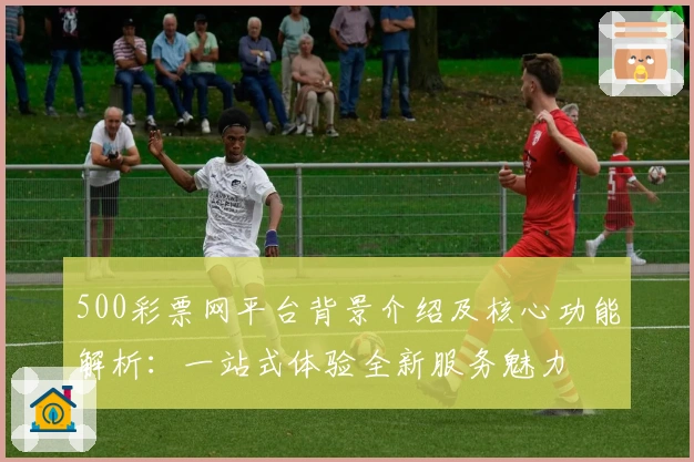 500彩票网平台背景介绍及核心功能解析：一站式体验全新服务魅力